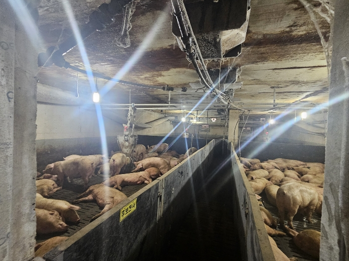 【 기호4) 1층 】