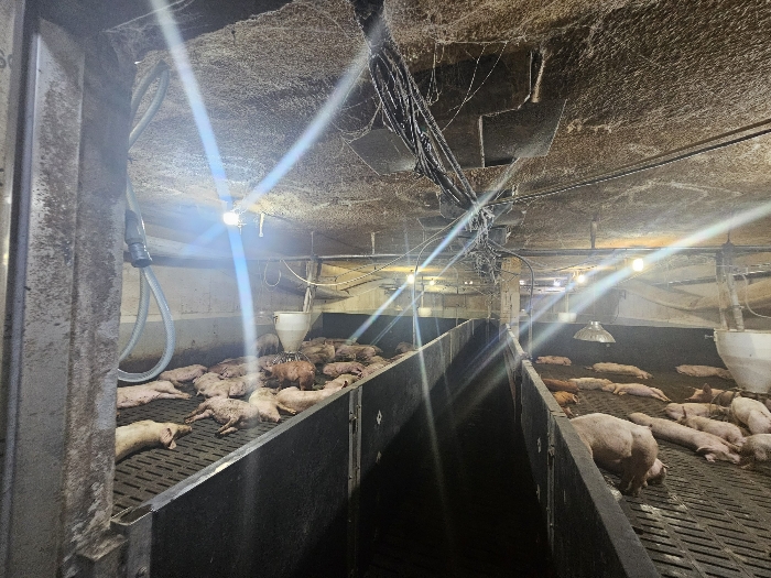 【 기호4) 2층 】