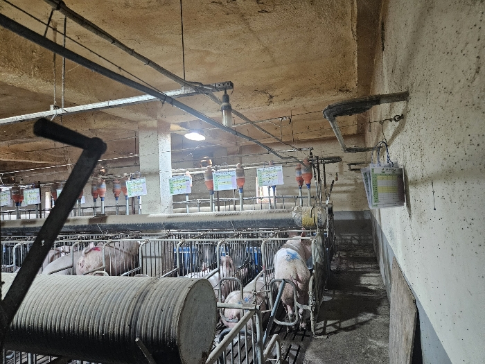 【 기호9) 1층 】