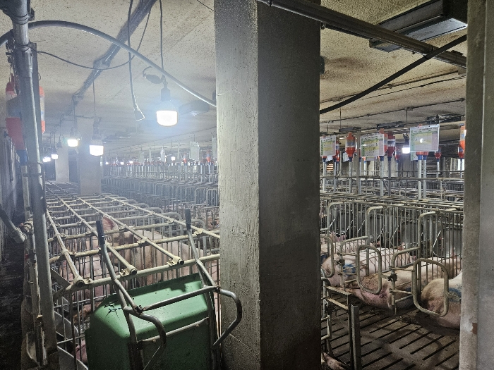 【 기호9) 2층 】