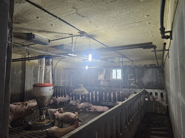 【 기호2) 1층 】