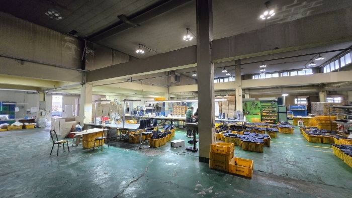 3. 건물(3.4) 전경