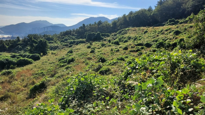 [ 본건 전경: 기호 ②, ③ ]