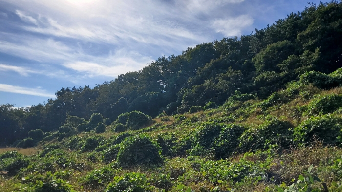 [ 본건 전경: 기호 ⑤ ]