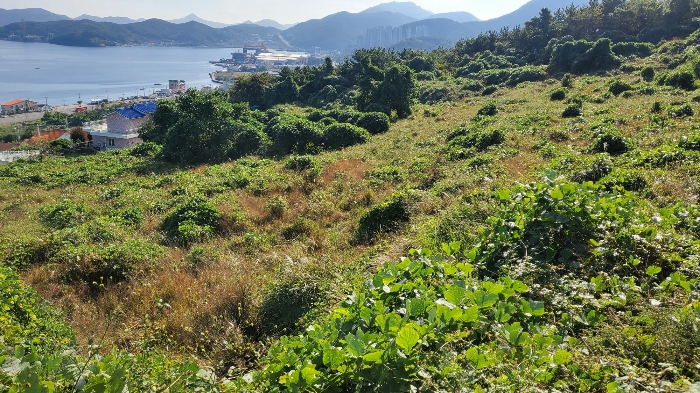 [ 본건 전경: 기호 ① ]