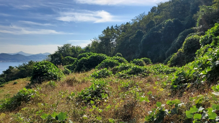 [ 본건 전경: 기호 ⑤ ]