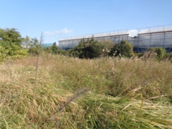 소재지1(강정동 5260) 전경 사진