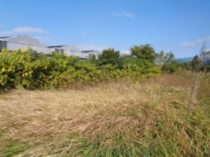 소재지1(강정동 5260) 전경 사진