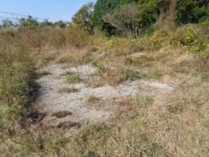 소재지1(강정동 5260) 전경 사진