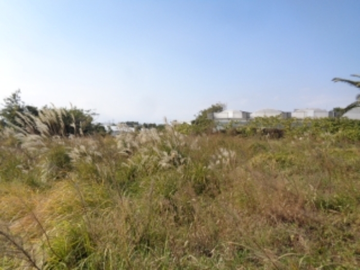 소재지2(강정동 5263) 전경 사진