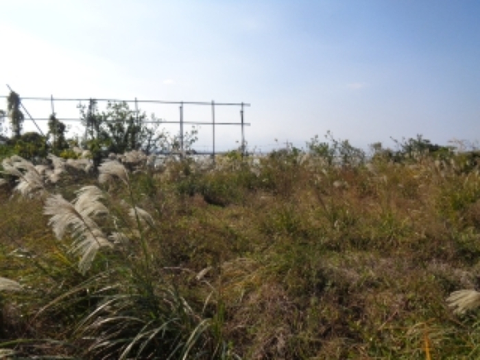 소재지3(강정동 5264) 전경 사진