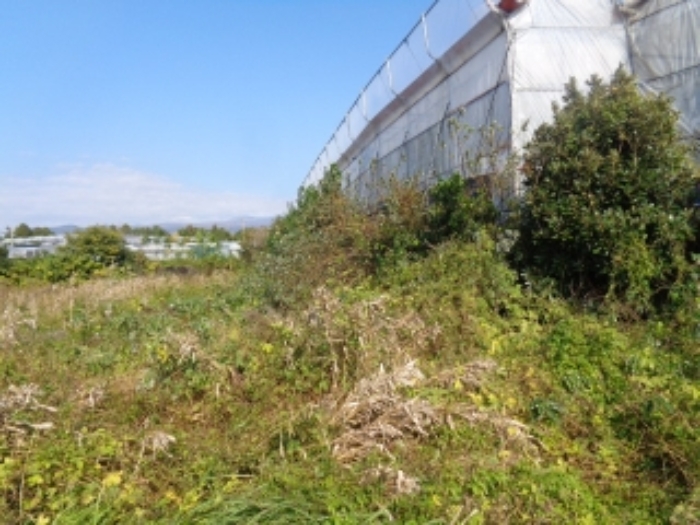 소재지3(강정동 5264) 전경 사진