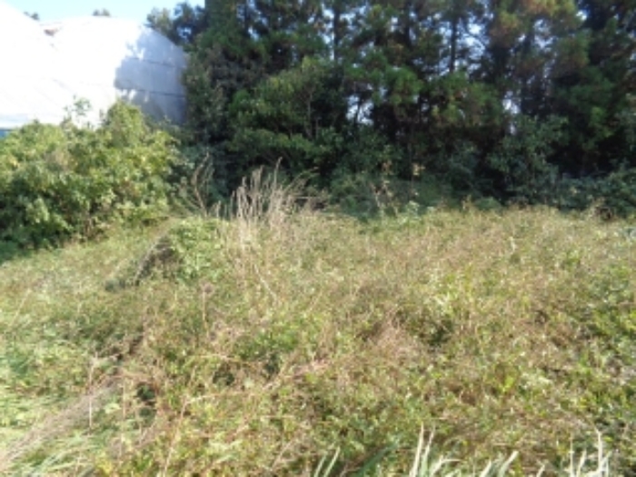 소재지4(강정동 5265) 전경 사진