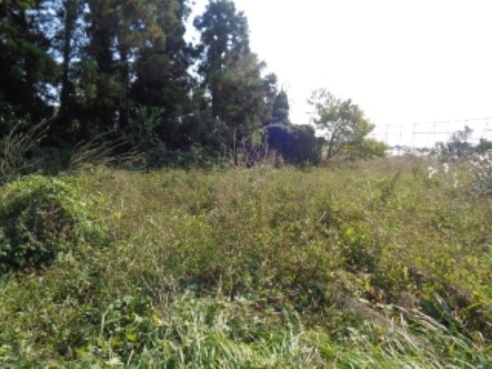 소재지4(강정동 5265) 전경 사진