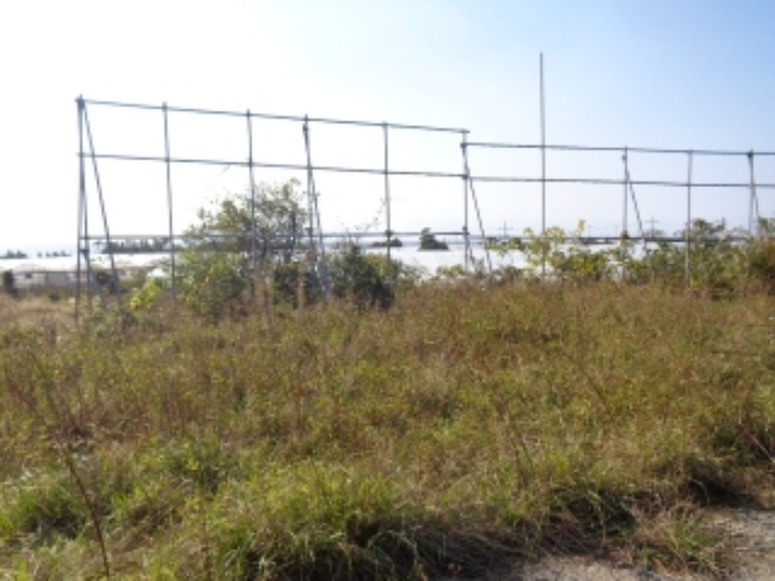 소재지5(강정동 5268-1) 전경 사진