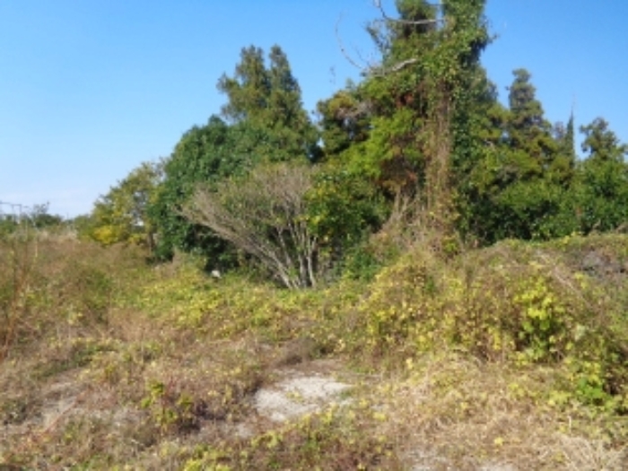 소재지5(강정동 5268-1) 전경 사진