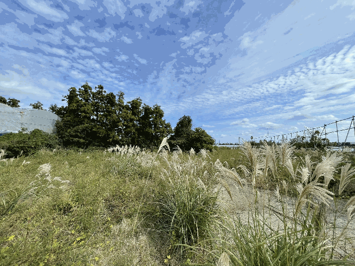 본건 전경
(촬영위치 : 본건 내)