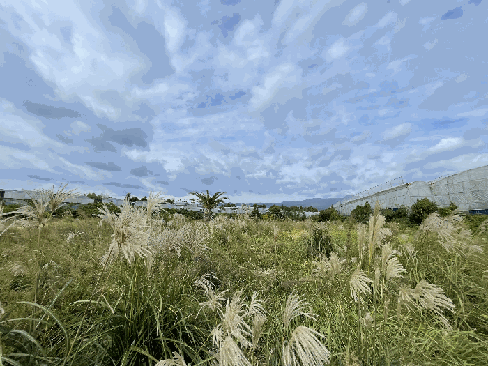 본건 전경
(촬영위치 : 본건 내)