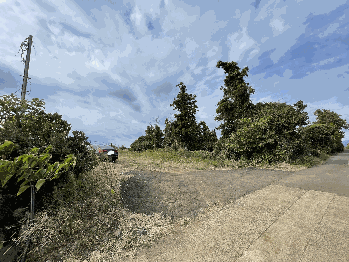 본건 전경
(촬영위치 : 본건 남동측)