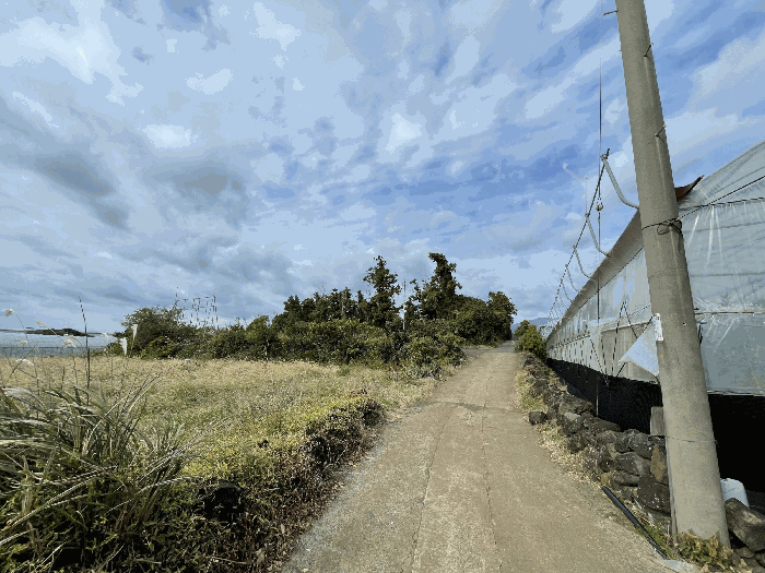 본건 주위환경
(촬영위치 : 본건 남동측)