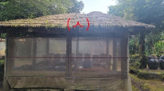 소재지1(성읍리 371-1) 지상 제시외 건물(ㅅ)