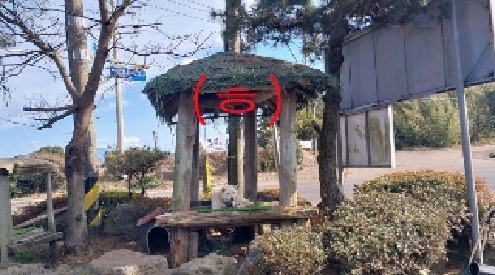 소재지1(성읍리 371-1) 지상 제시외 건물(ㅎ)