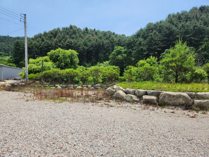 [제시외물건㉡ 수목 및 조경석 등]