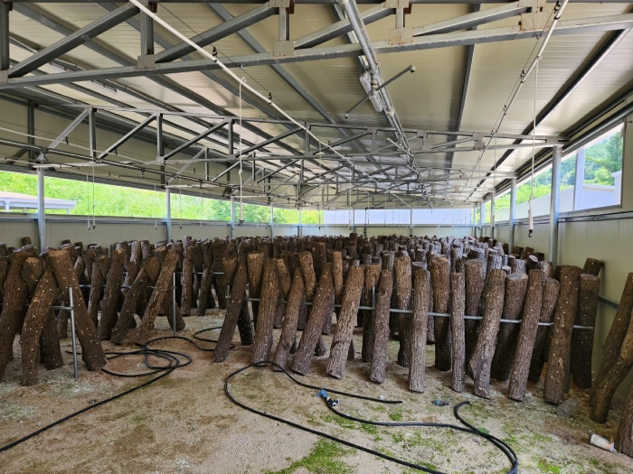 [건물 기호(8) 내부]