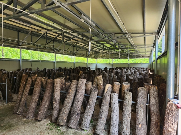 [건물 기호(9) 내부]