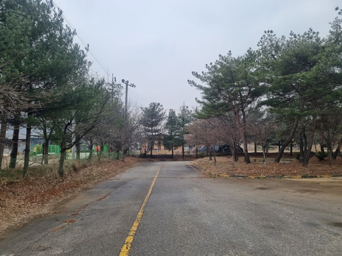 본건 토지 기호 