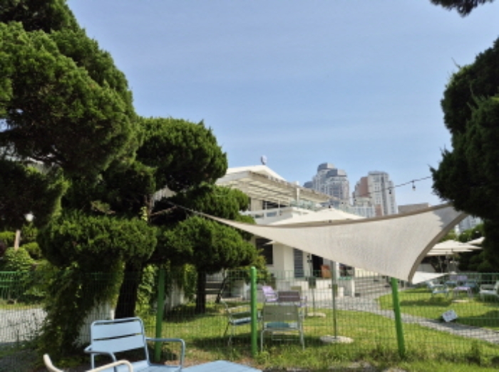 제시외 수목 모습1