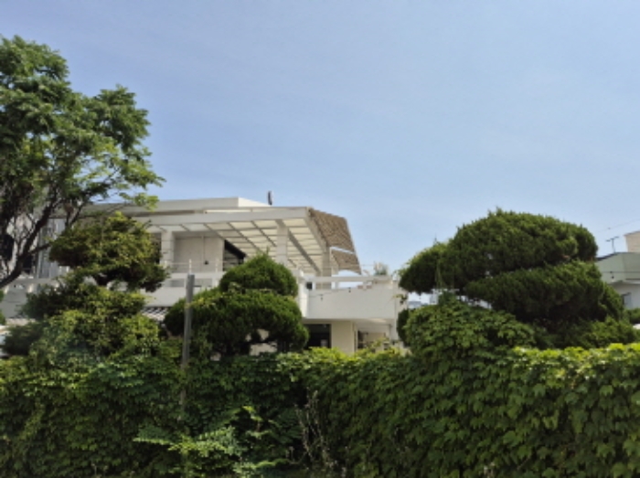 제시외 수목 모습3