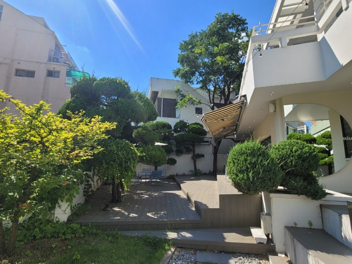 제시외수목, 데크 전경