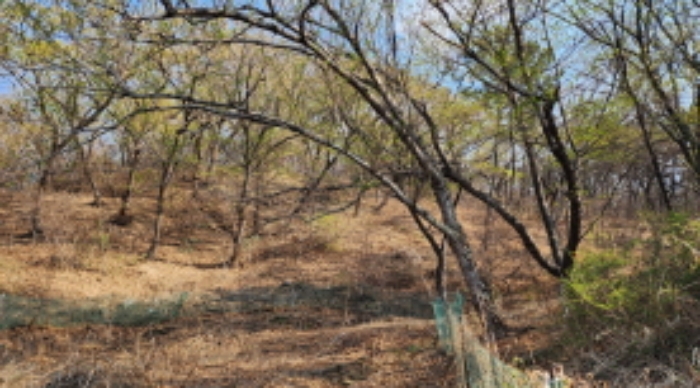 부동산의 표시 1