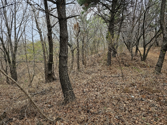 일련번호 3(동측)
