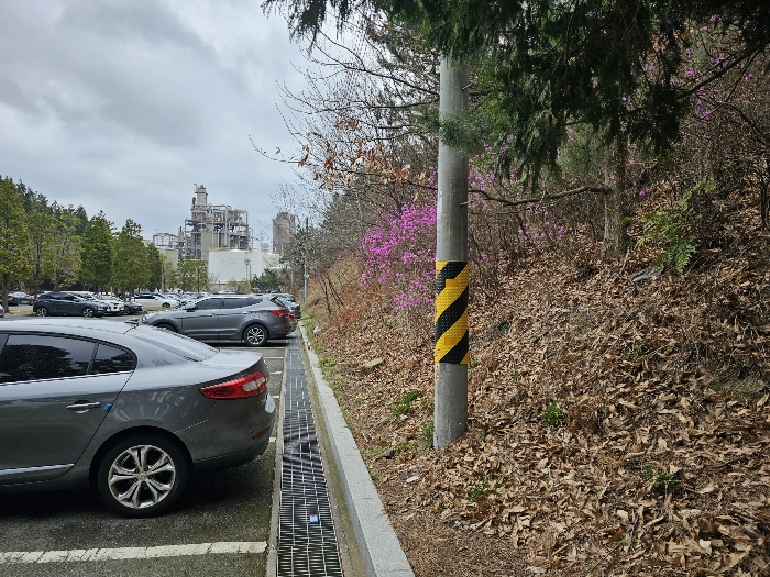 일련번호 5(동측)