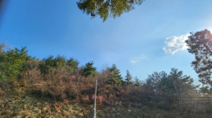 부동산의 표시 4, 5