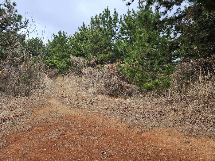 일련번호 1 (남동측)