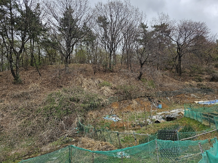 일련번호 2(남서측)