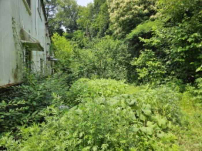 현장 전경(목록 3)