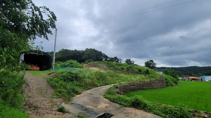 본건 남쪽 하단부