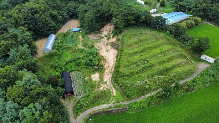 본건 남측 원경
