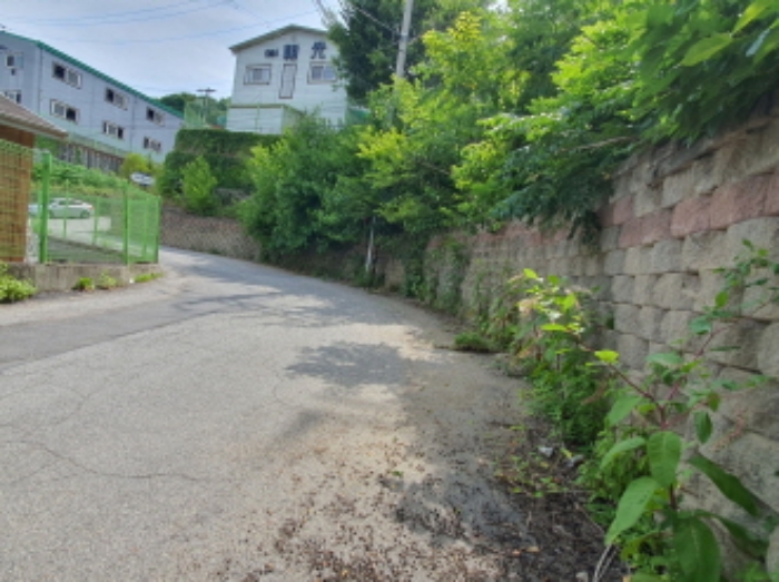 현장사진(건업리 512-16, 512-18 토지: 도로)