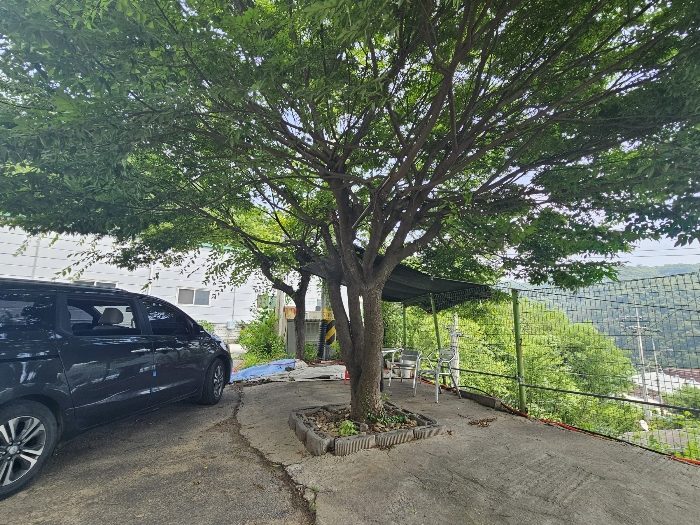 제시외 수목 등