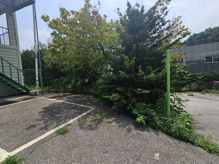 제시외 수목 등