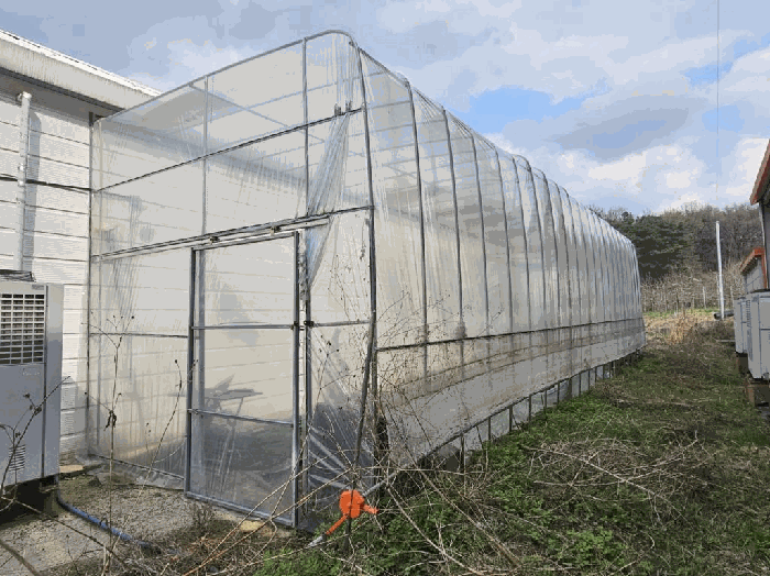 제시외 건물 ㉡