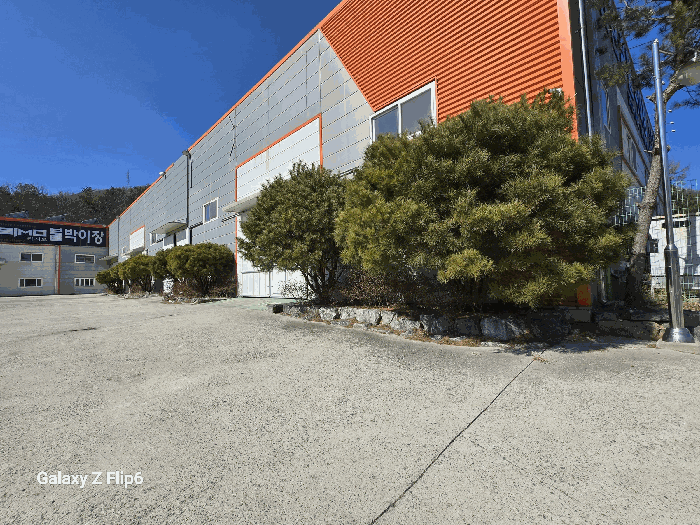 제시외수목(반송 外 기타수종)