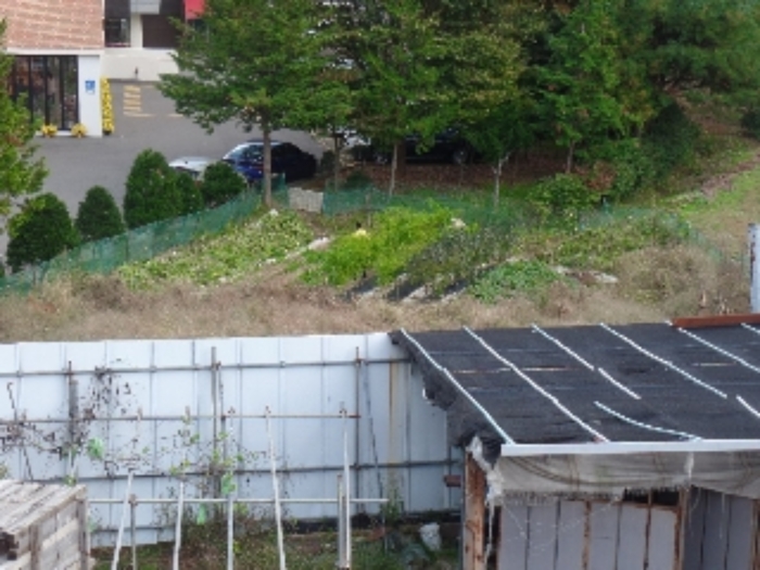 기호 1. 동측 일부 텃밭