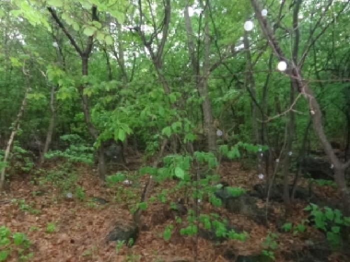 [목록 5] 남쪽 지상의 내부 모습