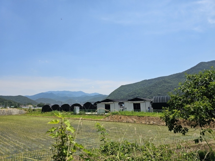 본건 토지[1,2] 전경